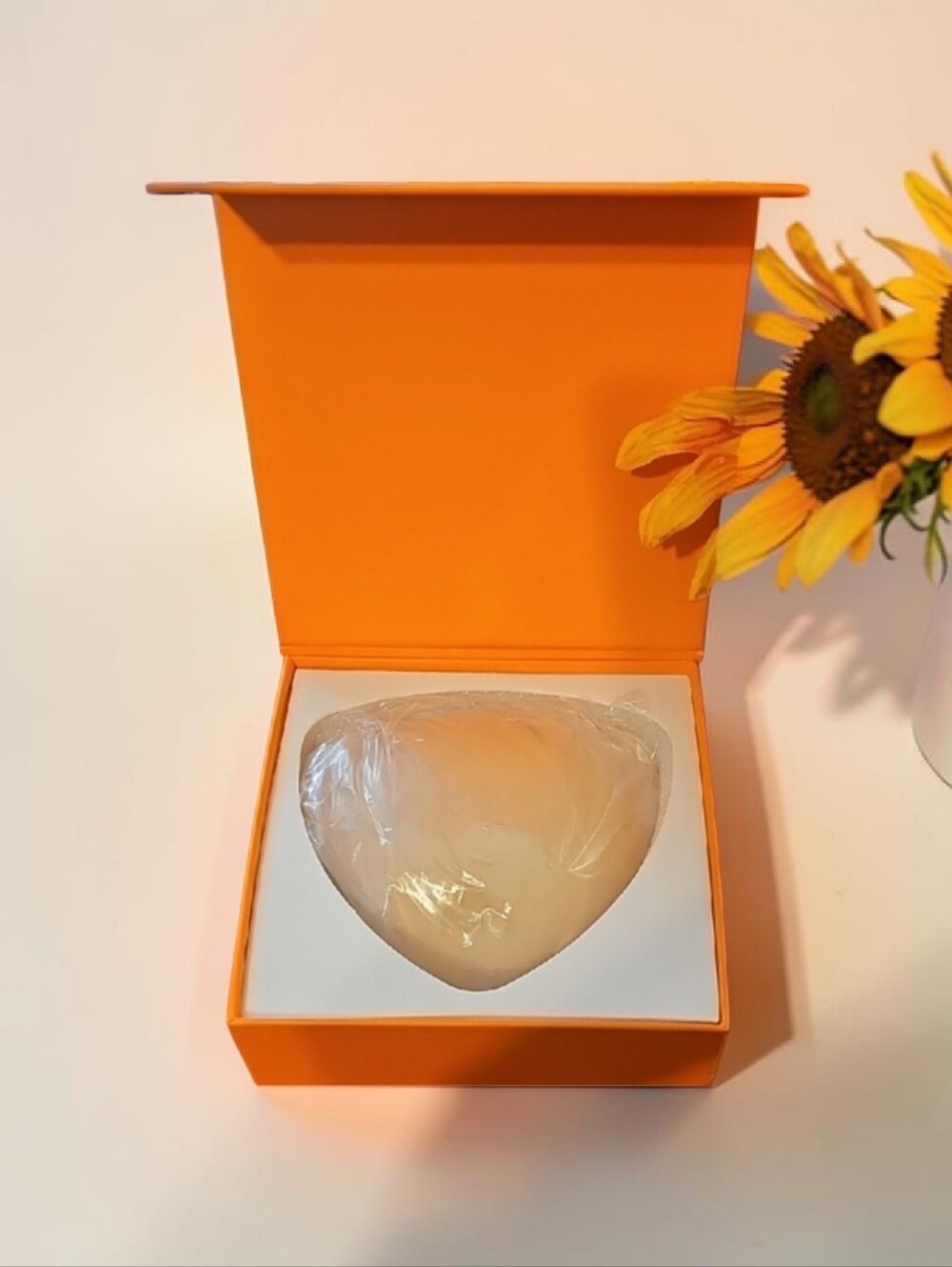 NWT SNOWY SILICONE BRAS INSERT.